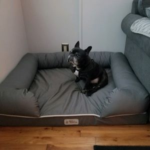 Meet your Posher, Henry